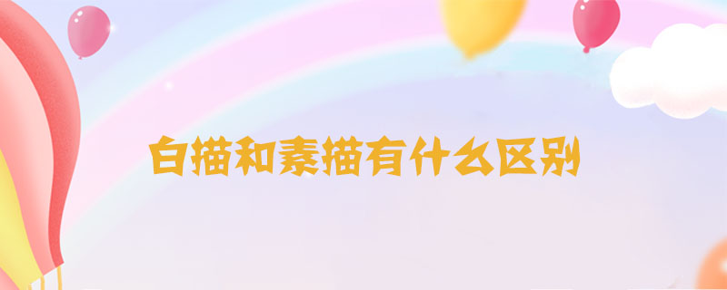 白描和素描有什么區(qū)別