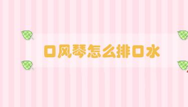 口風(fēng)琴怎么排口水