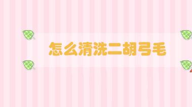 怎么清洗二胡弓毛
