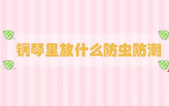 鋼琴里放什么防蟲防潮