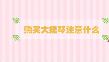 購買大提琴注意什么