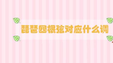 琵琶四根弦對應(yīng)什么調(diào)