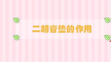 二胡音墊的作用
