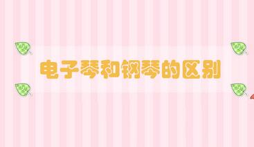 電子琴和鋼琴的區(qū)別