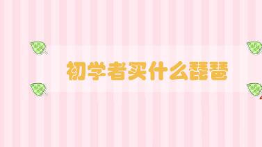 初學(xué)者買(mǎi)什么琵琶