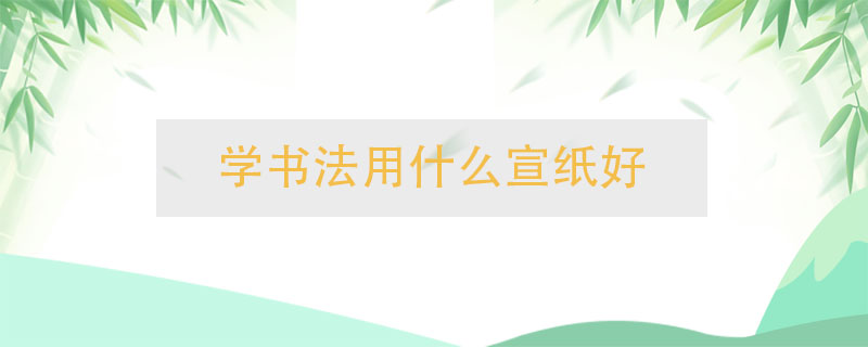 學書法用什么宣紙好