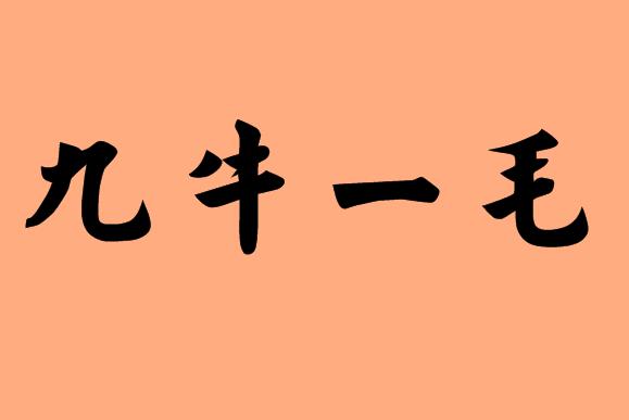 九的<a href=http://www.inspiredelm.com/chengyu/ target=_blank class=infotextkey>成語(yǔ)</a>|造句|字詞解析