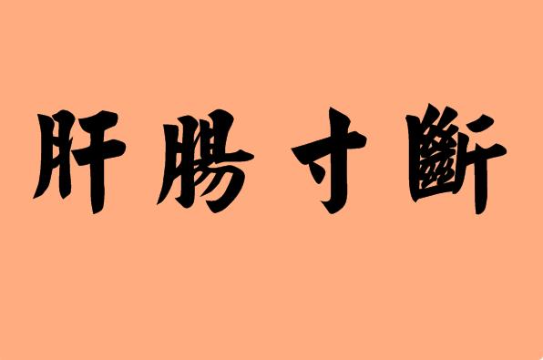 第三字是寸的<a href=http://www.inspiredelm.com/chengyu/ target=_blank class=infotextkey>成語</a>|造句|字詞解析
