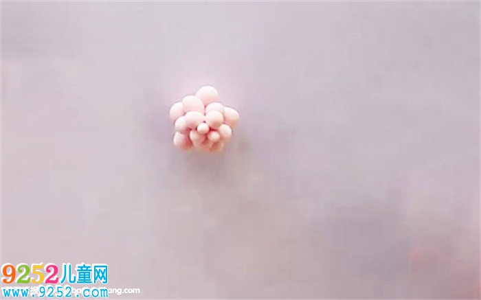 多肉用超輕粘土怎么做