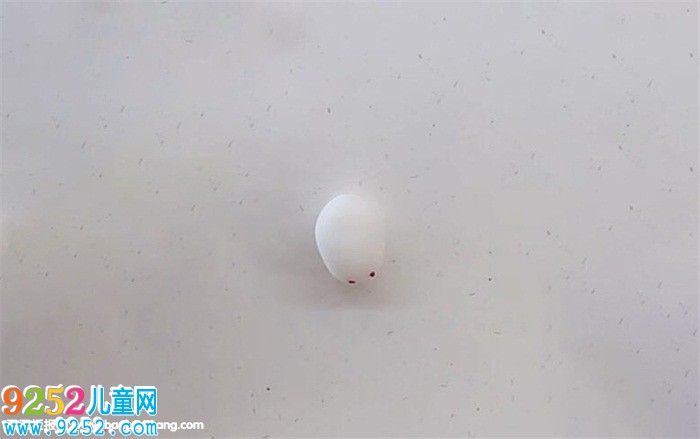 用超輕粘土做小兔子簡單