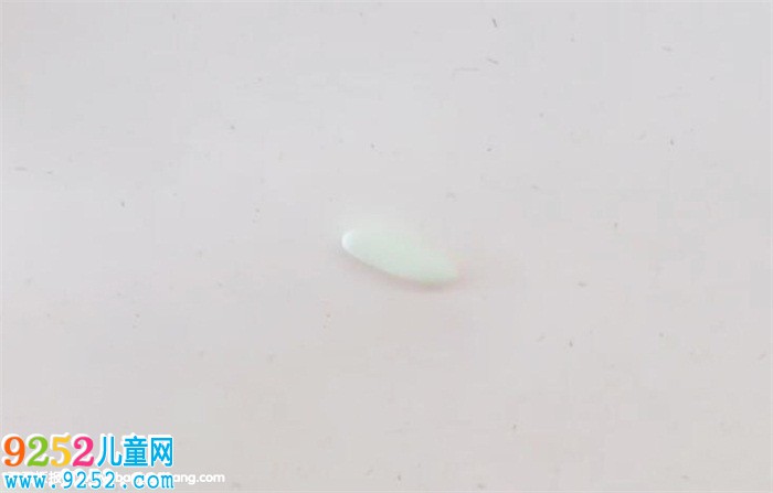 超輕粘土白菜怎么做