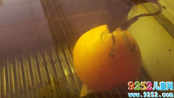 南瓜飾品的<a href=http://www.inspiredelm.com/diy/ target=_blank class=infotextkey>手工制作</a>方法