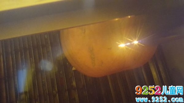 南瓜飾品的<a href=http://www.inspiredelm.com/diy/ target=_blank class=infotextkey>手工制作</a>方法