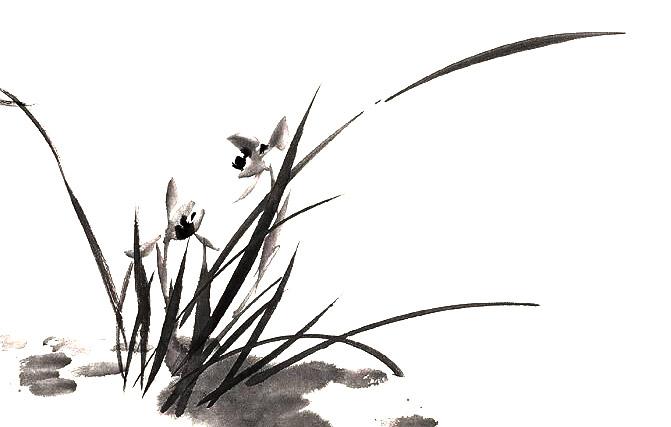 蘭花