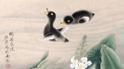 小鴨子戲水