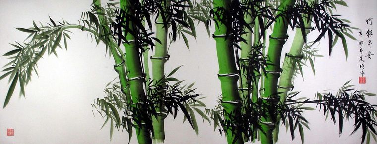 竹子的<a href=http://www.inspiredelm.com/ertonghua/ target=_blank class=infotextkey>兒童畫</a>-茂盛的竹子