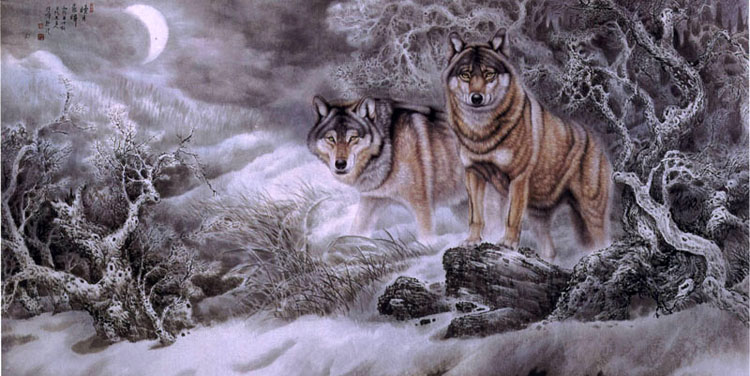狼發(fā)現(xiàn)獵物
