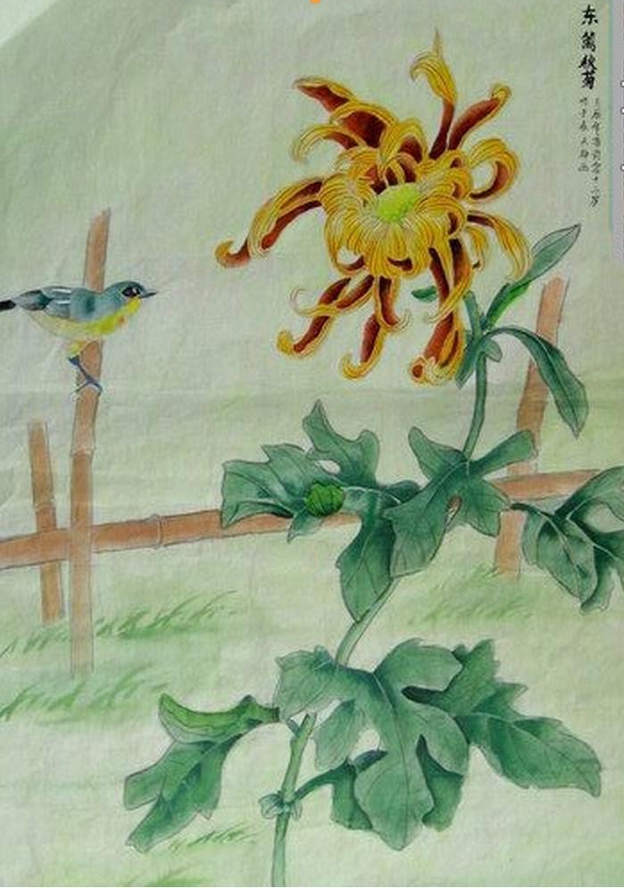東籬秋菊