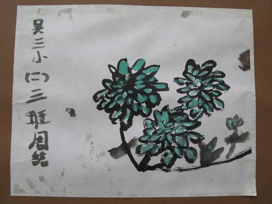山上盛開的菊花