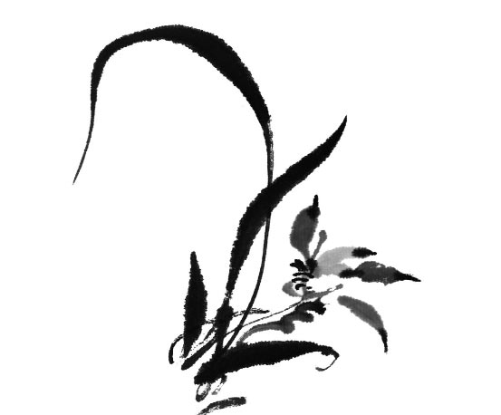 淡雅蘭花