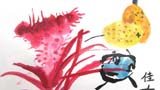 雞冠花