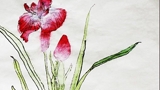 盛開的鶯飛花