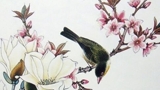 桃花枝上喜鵲飛