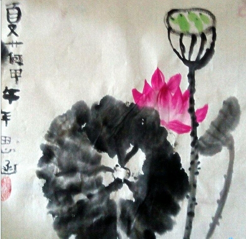 蓮花蓮子圖