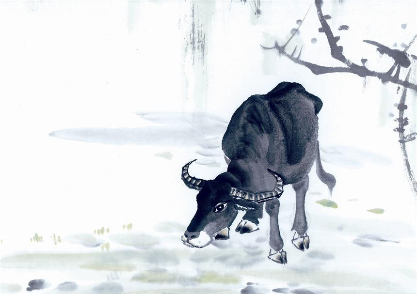 小水牛