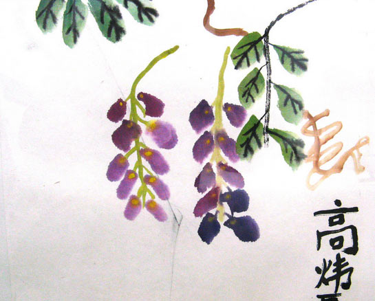 紫藤蘿