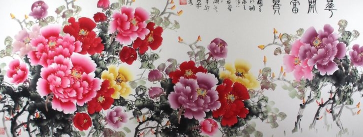 各色牡丹花
