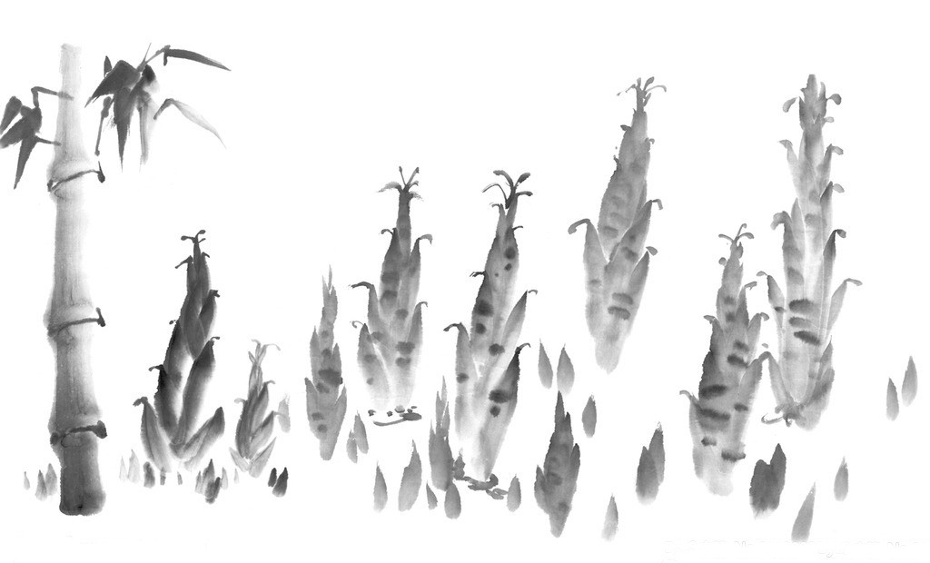 竹筍<a href=http://www.inspiredelm.com/ertonghua/ target=_blank class=infotextkey>兒童畫</a>-竹筍