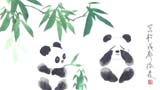 國寶熊貓