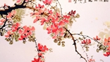 梅花盛開的季節(jié)