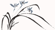 蘭花爭艷