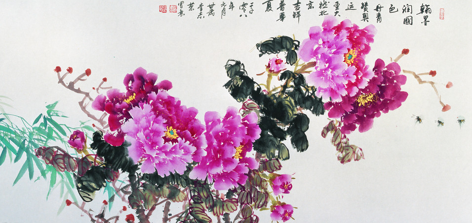 鮮艷的牡丹花