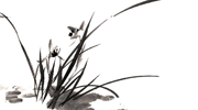 蘭花