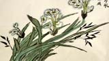 見水開花玉為肌