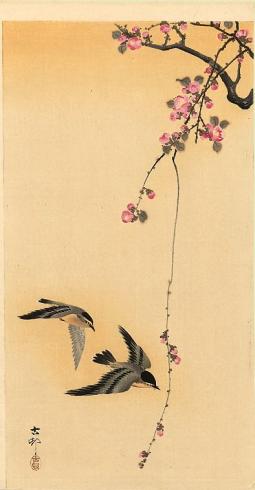 桃花和燕子關(guān)于春天的國(guó)畫(huà)