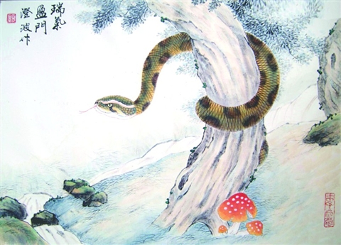 樹上的大蛇