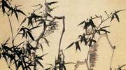 竹子的兒童畫-茂盛的竹