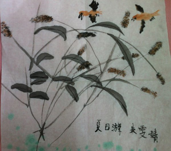 狗尾巴草