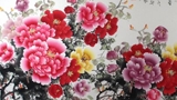 各色牡丹花