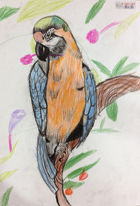 百鳥園的金剛鸚鵡