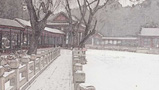 雪中的頤和園