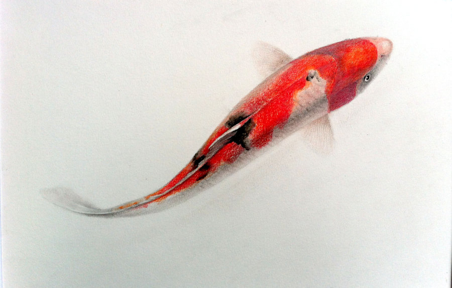 生動(dòng)的小金魚(yú)
