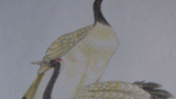 兩只仙鶴