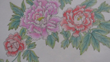 艷麗的牡丹花