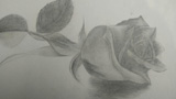 一支玫瑰花