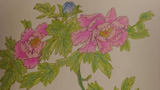 國(guó)色天香牡丹花